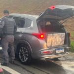 Homem é preso com cocaína avaliada em R$ 6 milhões no interior de SP