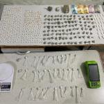 PM desmonta ponto de tráfico e apreende mais de 500 porções de drogas em Montes Claros