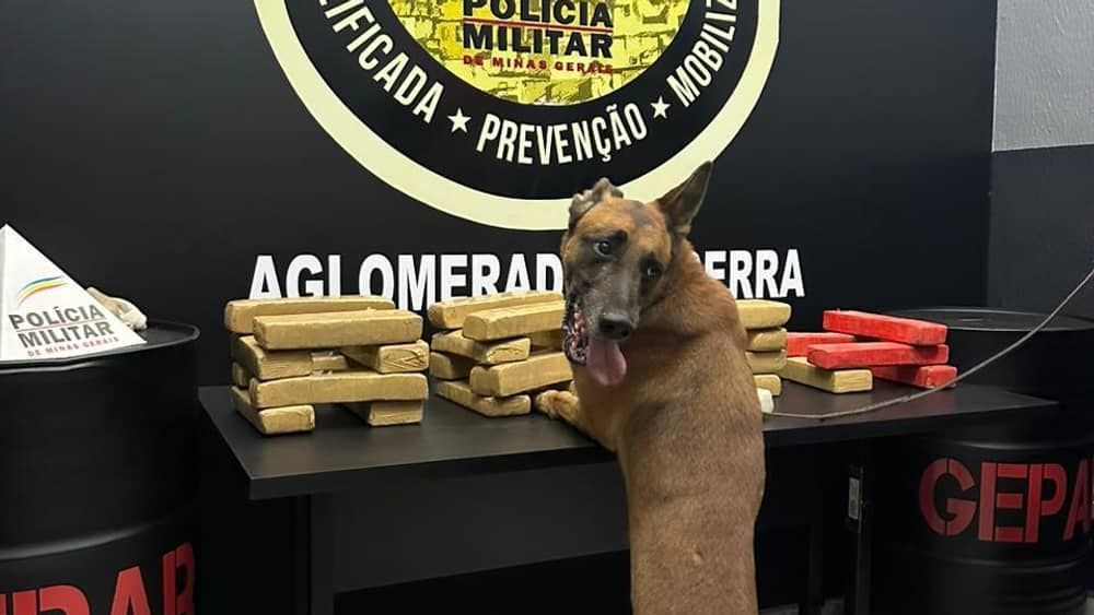 Polícia apreende 29 barras de maconha no Aglomerado da Serra, em BH 