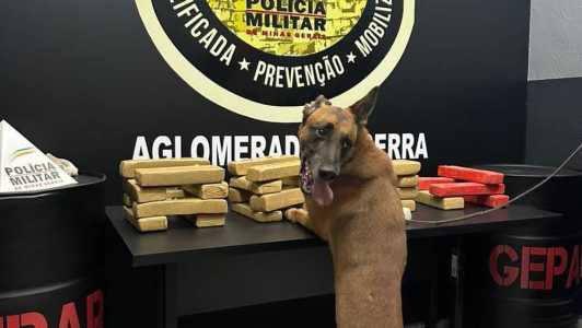 Apreensão ocorreu na manhã desta quarta (15)