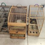 Denúncia anônima leva à apreensão de pássaros da fauna silvestre em São Geraldo (MG)