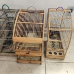Denúncia anônima leva à apreensão de pássaros da fauna silvestre em São Geraldo (MG)
