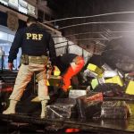 Caminhoneiro é preso transportando quase 3 toneladas de maconha na BR-040