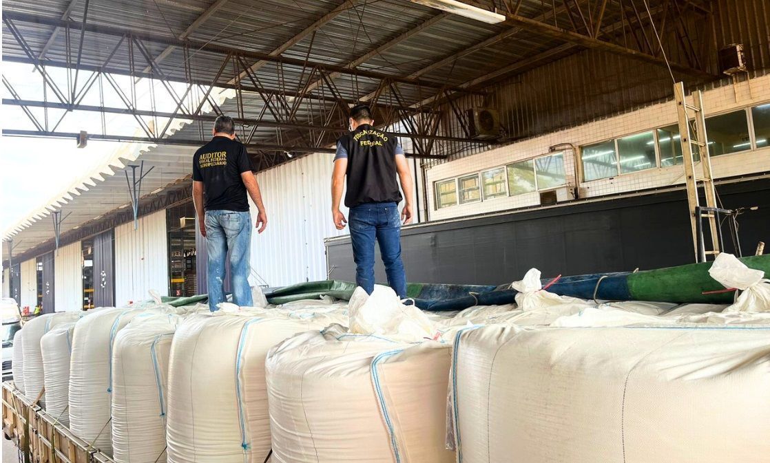 Carga de farinha de trigo com insetos e fezes de rato é apreendida no Paraná