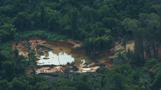 Área de garimpo é flagrada a menos de 15 km de onde vivem indígenas isolados em Roraima