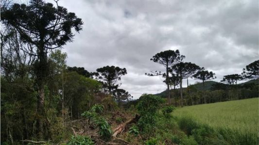 Área equivale a mais de duas vezes o município do Rio de Janeiro