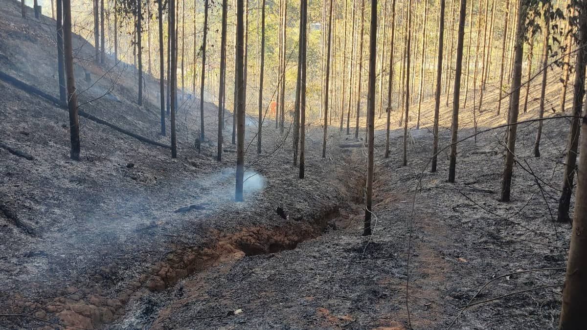 Brigadista da Cenibra morre em incêndio florestal no Vale do Aço