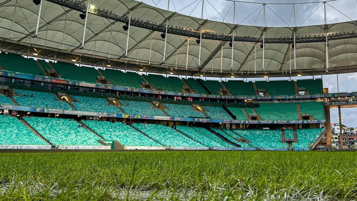 Bahia x Palmeiras: times estão escalados para jogo do Brasileiro