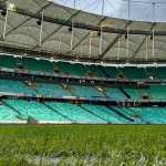 Bahia x Palmeiras: times estão escalados para jogo do Brasileiro