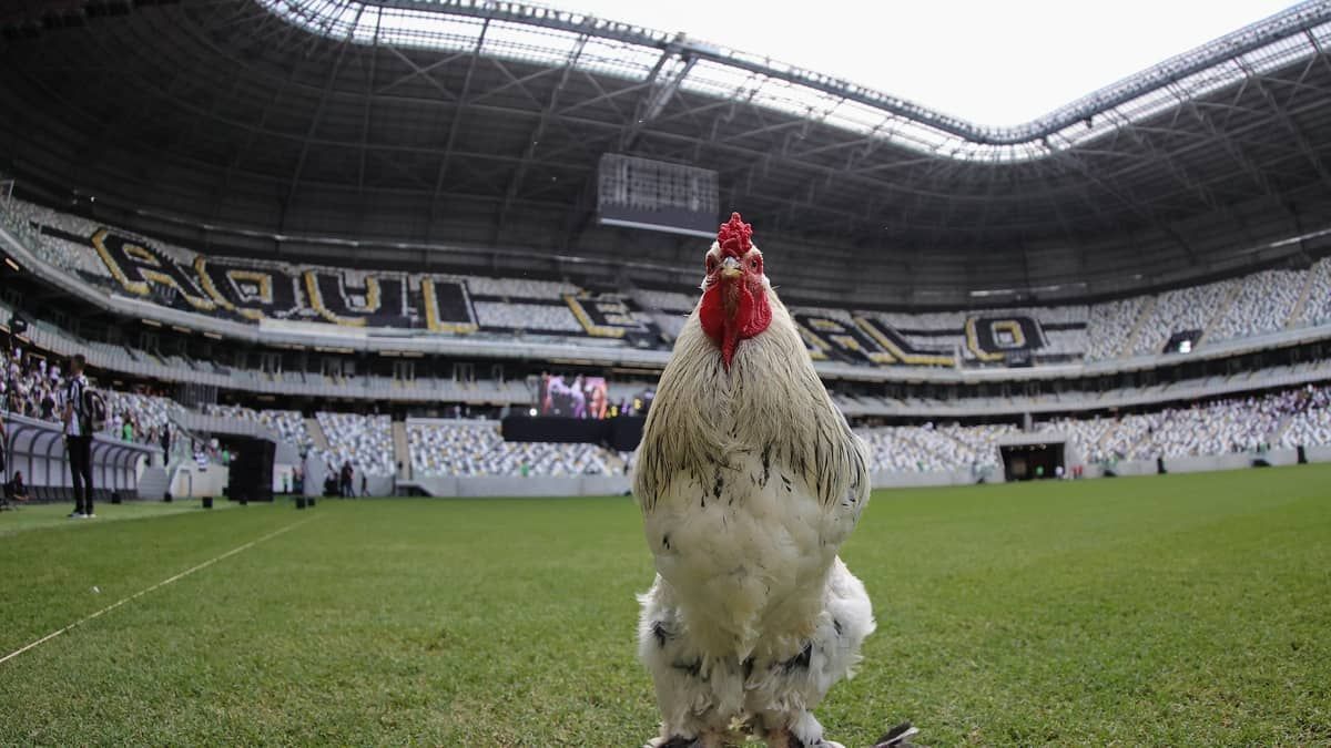 Atlético inaugura Arena MRV em BH com autoridades, ídolos e 9 mil torcedores