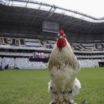 Atlético inaugura Arena MRV em BH com autoridades, ídolos e 9 mil torcedores