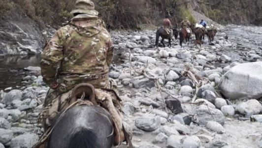 Argentina usa mulas para distribuir urnas das eleições; veja