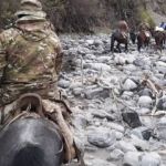 Argentina usa mulas para distribuir urnas das eleições; veja