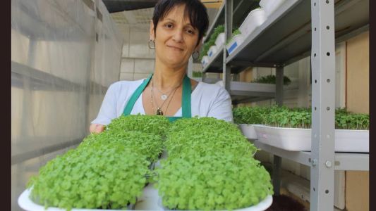 Aridane: capricho e cuidado nos mínimos detalhes da produção