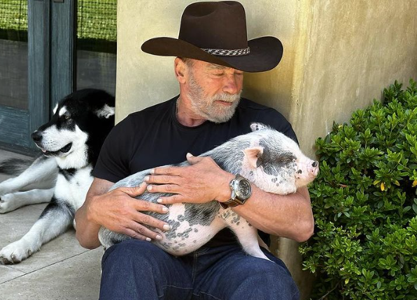 Relógio que quase causou prisão de Schwarzenegger é leiloado por R$ 1,4 milhão