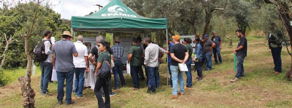 Azeitech será no mês que vem em Maria da Fé