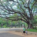 Prefeitura de Belo Horizonte decreta nove pontos facultativos; saiba as datas