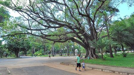 Arquivo - Parque Municipal