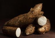 Demanda por fécula de mandioca impulsiona produção da raiz no Brasil