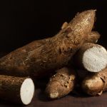 Demanda por fécula de mandioca impulsiona produção da raiz no Brasil