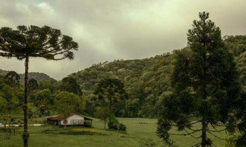 arrendamento rural - divulgação_TJMG