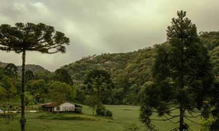 arrendamento rural - divulgação_TJMG