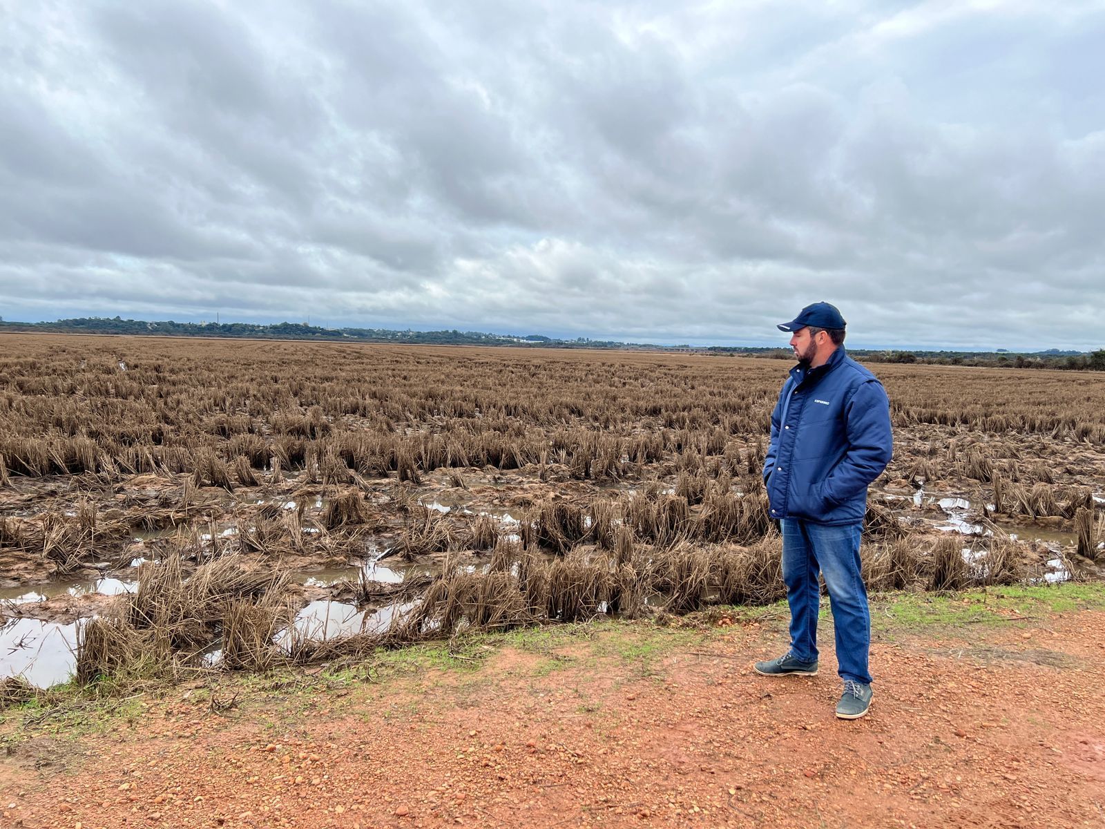 Polêmica sobre leilão de arroz colocou produtores gaúchos e governo em rota de colisão
