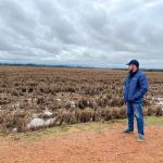Polêmica sobre leilão de arroz colocou produtores gaúchos e governo em rota de colisão