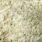 Conab vai doar sementes de arroz para agricultores familiares do RS