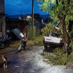 Vídeo: ventania arranca galhos de palmeiras históricas e acerta carros no interior de Minas  