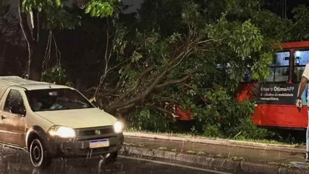 Já choveu mais que o esperado para outubro em todas as regiões de Belo Horizonte