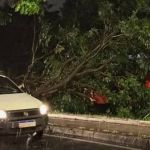 Já choveu mais que o esperado para outubro em todas as regiões de Belo Horizonte