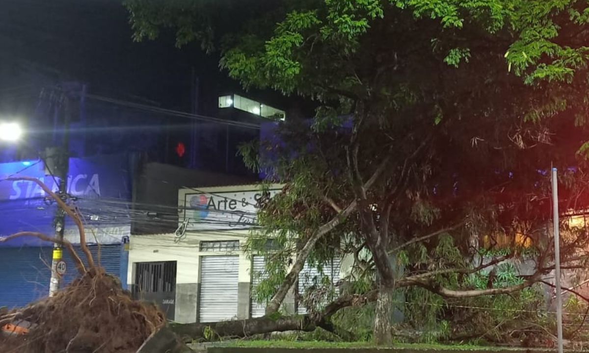 Forte temporal causa alagamentos e queda de árvores em Juiz de Fora