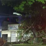 Forte temporal causa alagamentos e queda de árvores em Juiz de Fora