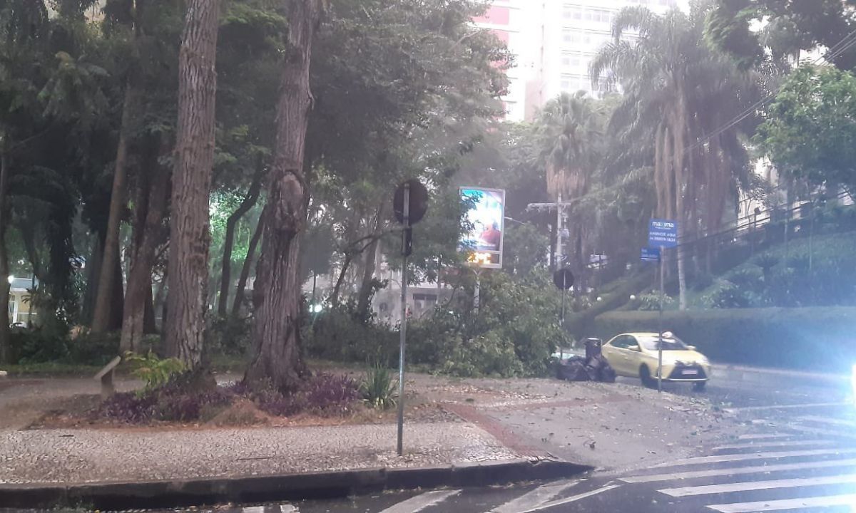 Vento de quase 100 km/h e pancadas de chuva são registrados em Juiz de Fora