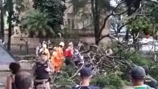 Árvore caiu nas pernas de um homem no Centro de BH