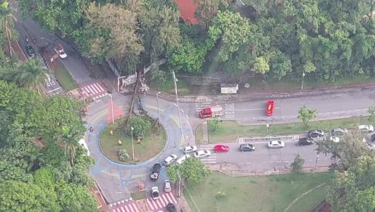 Árvore caiu sobre fiação da Cemig na avenida Otacílio Negrão de Lima, no sentido Barragem da Pampulha