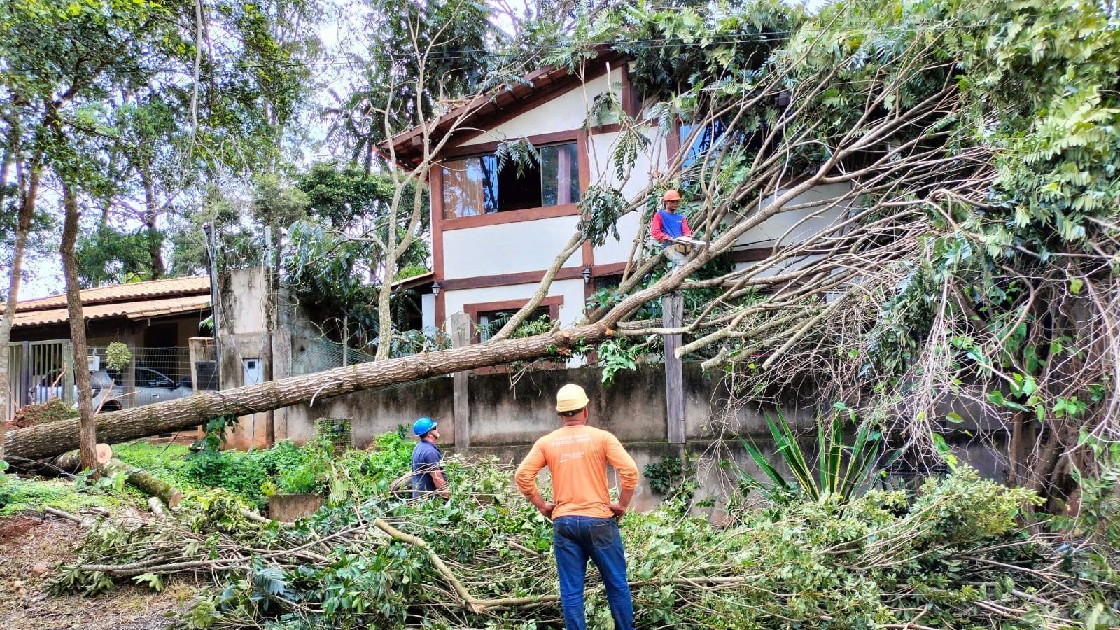 Árvore cai e prende morador em casa junto com a mãe idosa após temporal em Macacos