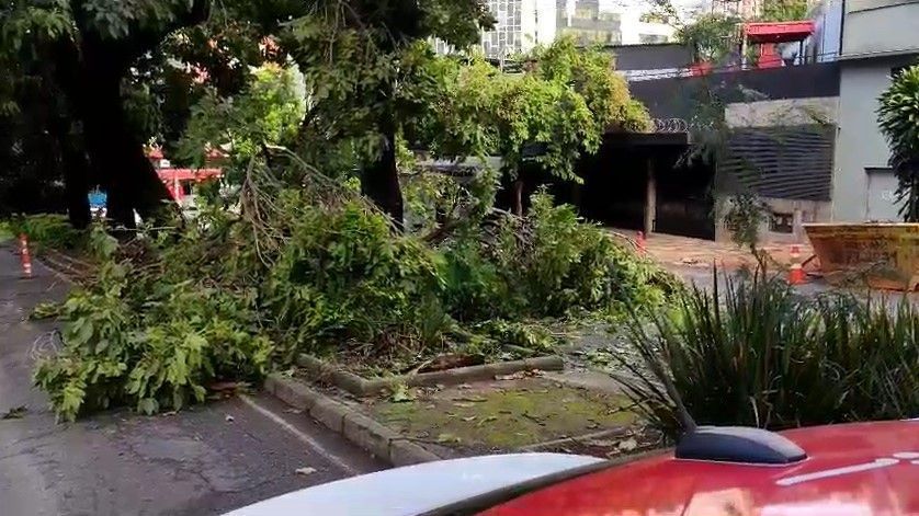 ‘Se essa chuva tivesse acontecido em anos anteriores, desastre teria sido muito maior', diz prefeito de BH