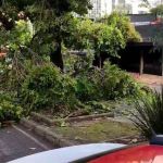 Chuvas em MG: Bombeiros registram média de quase 5 ocorrências por hora em 48 horas