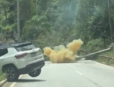 Árvore cai, derruba postes, atinge carro e interdita rodovia na Grande BH