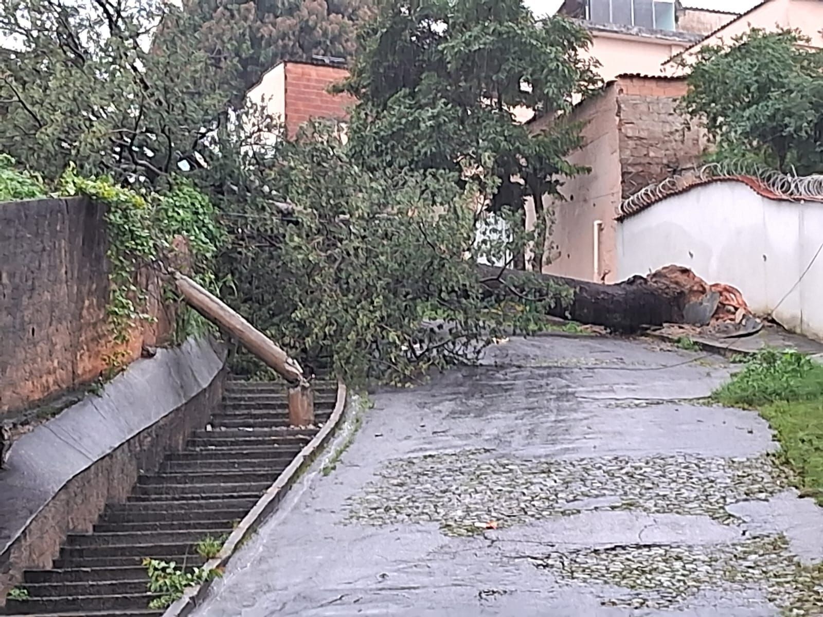 BH supera média histórica de chuva de dezembro; região registra 20% do esperado para o mês em apenas 12h