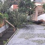 BH supera média histórica de chuva de dezembro; região registra 20% do esperado para o mês em apenas 12h