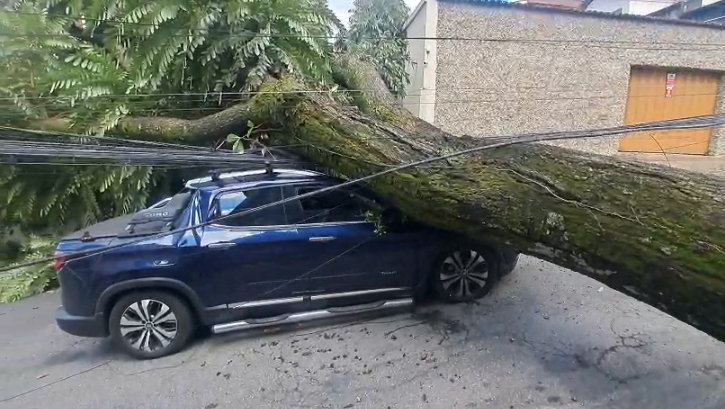 Árvore cai sobre carro após pai deixar filha de 4 anos na escola em BH