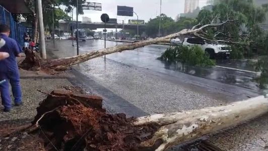 Árvores caem em cima de carro na avenida do Contorno