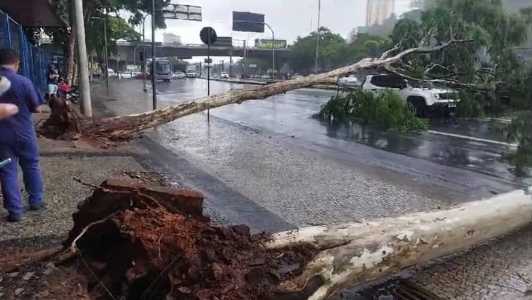 Árvores caem em cima de carro na avenida do Contorno