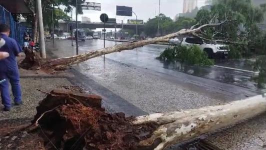 Árvores caem em cima de carro na avenida do Contorno