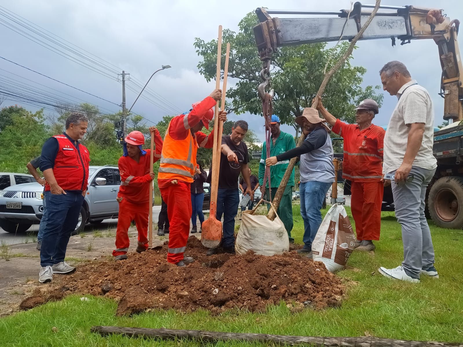 Plantio de árvores na Pampulha convocado por Duda Salabert é ilegal, afirma prefeitura