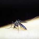 PBH promove ação de combate à dengue neste sábado
