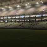 Saiba quem são os integrantes de organizadas do Atlético detidos em briga no Horto
